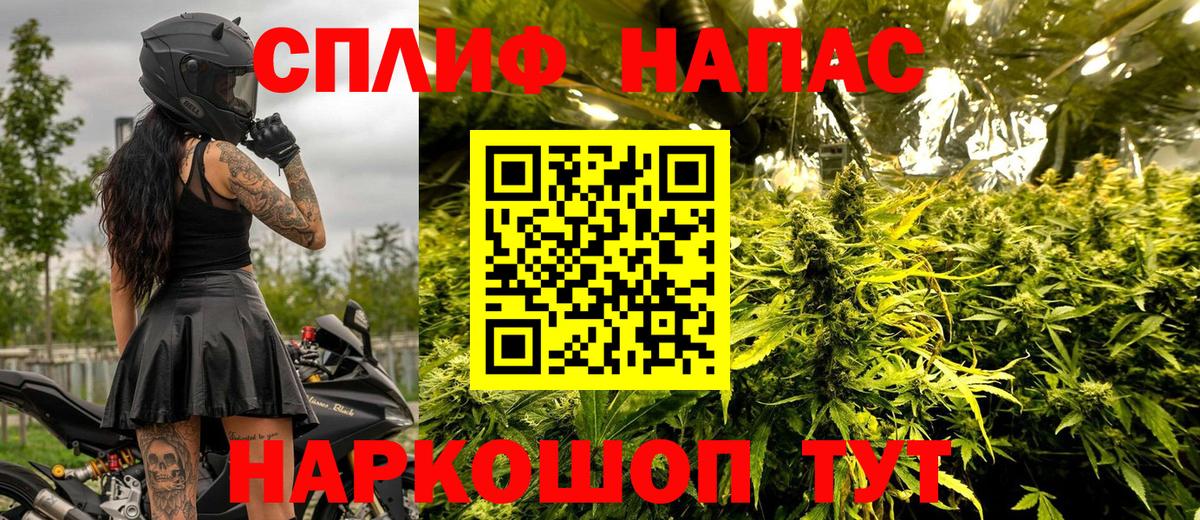 Конопля семена Мурманск